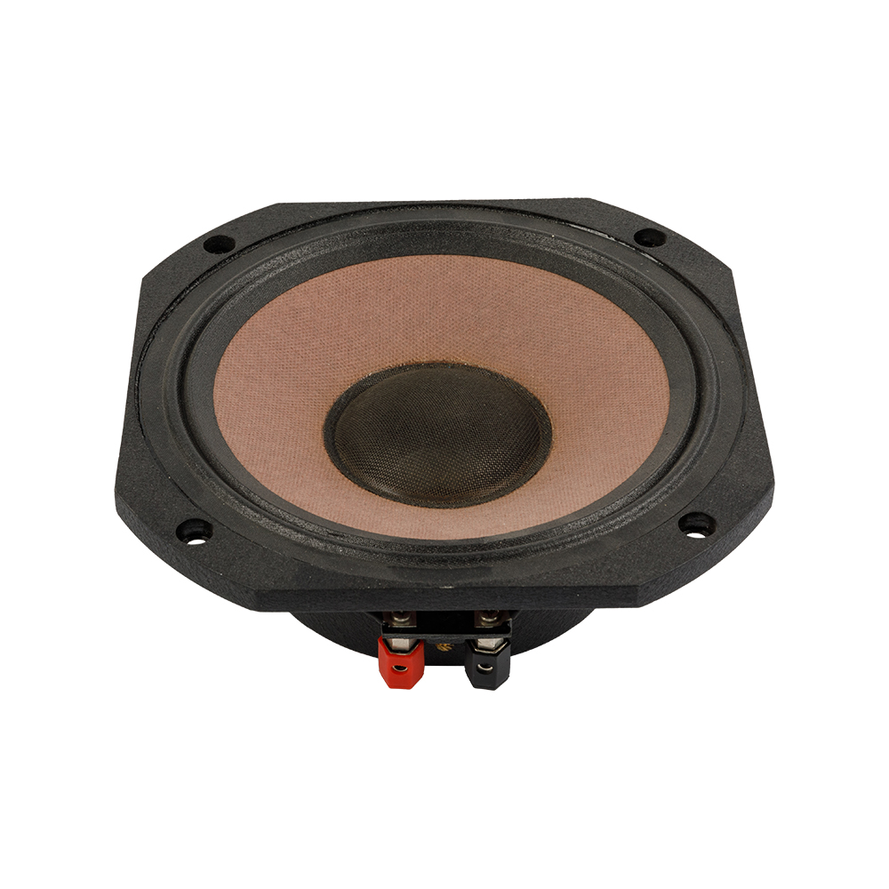 5 inch car audio Speaker 4Ω 30W midrange