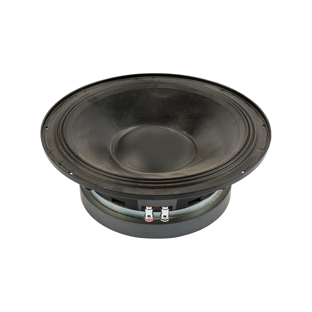 10 inch car audio Speaker 4Ω RMS 200W subwoofer