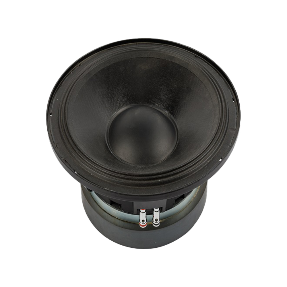 10 inch car audio Speaker 4Ω RMS 200W subwoofer