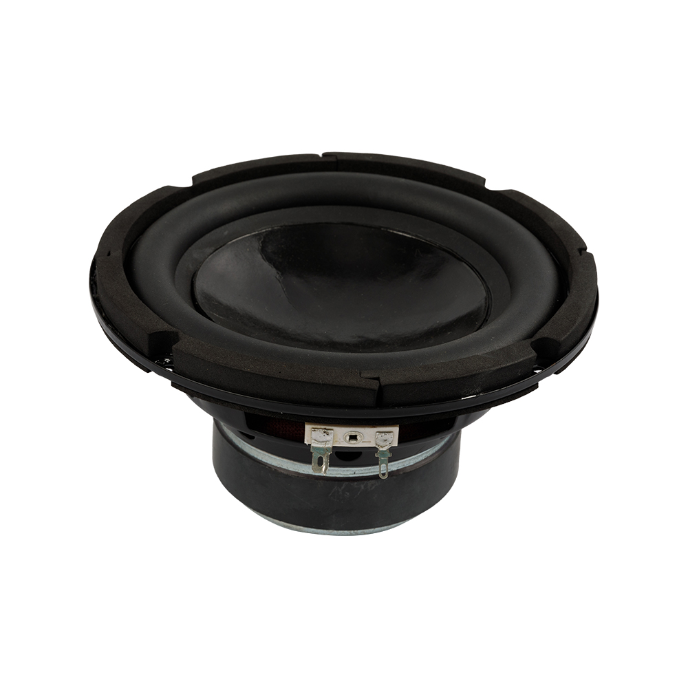 10 inch car audio Speaker 4Ω RMS 500W subwoofer